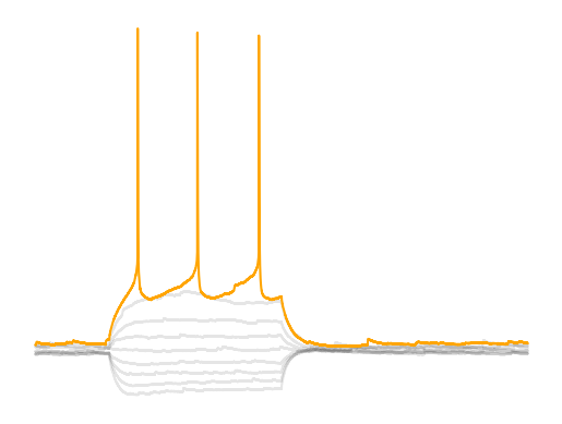 Whole cell current clamp rheobase